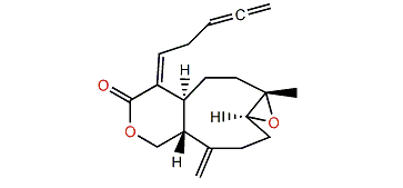 Acalycixeniolide D